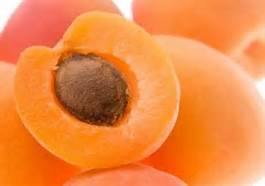 apricots2